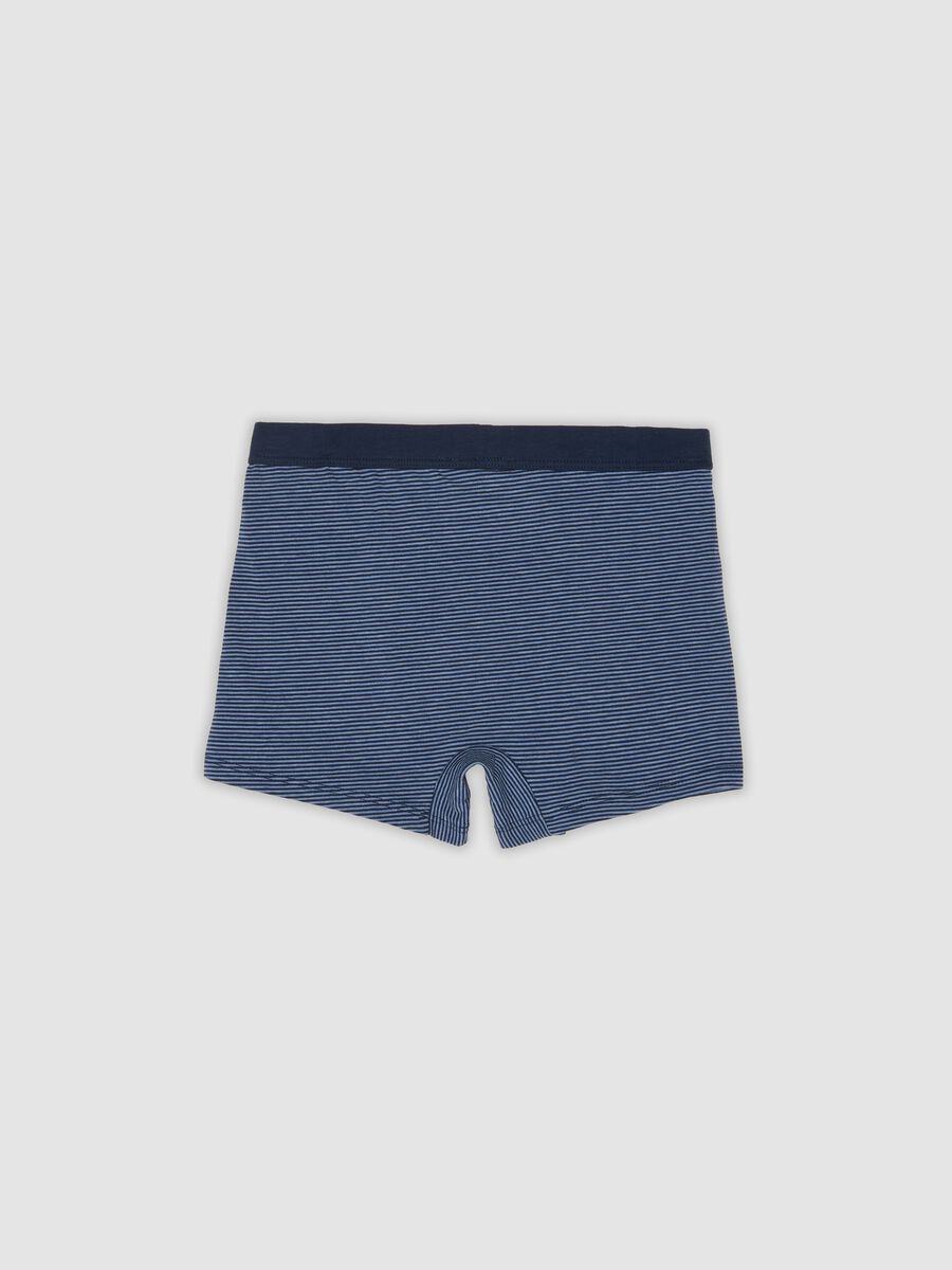 Boys' blue striped stretch organic cotton boxer shorts_1