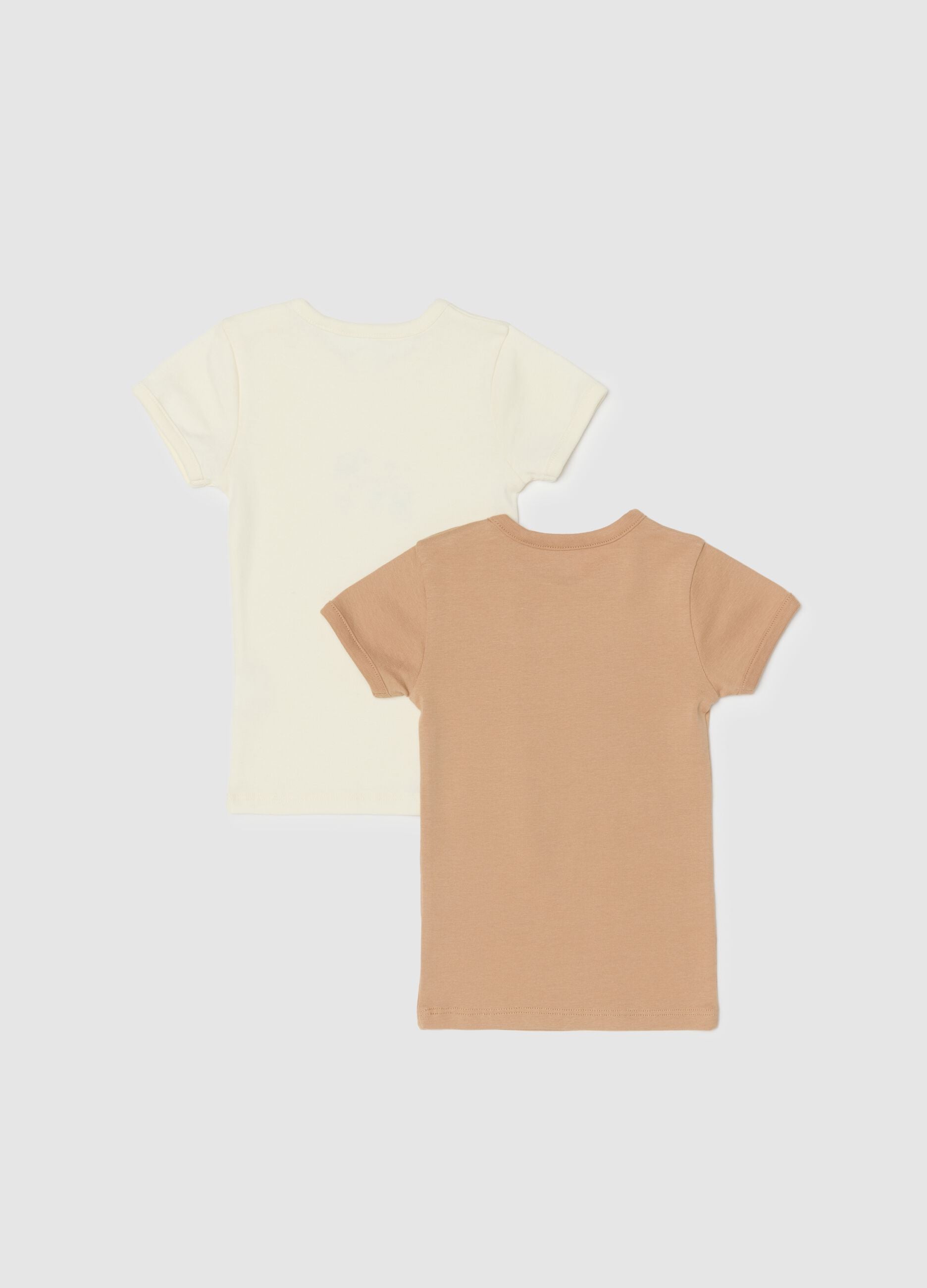 Baby's multicolour t-shirt twin pack in pure cotton regular fit