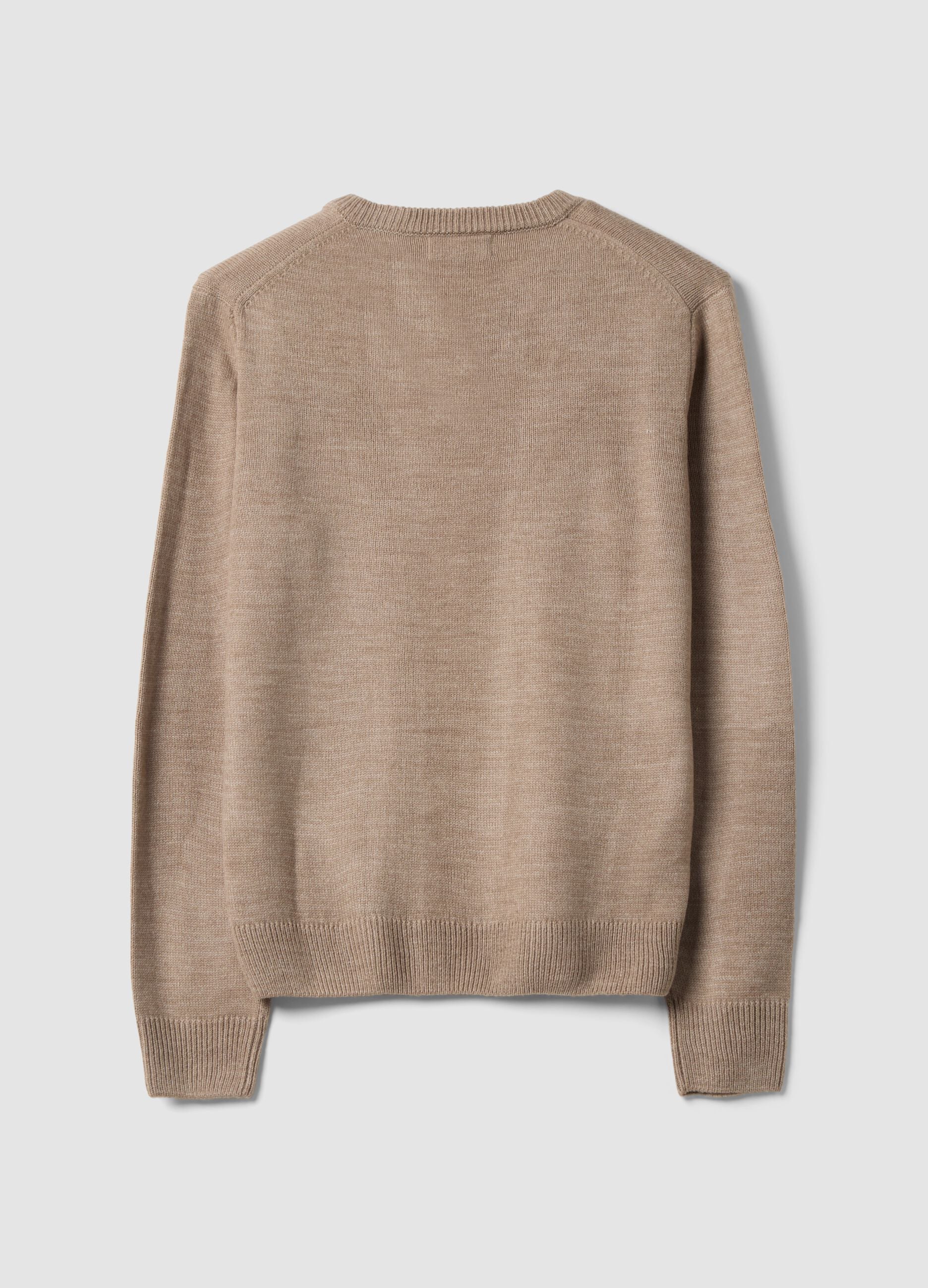 Brown V-neck jumper, regular fit