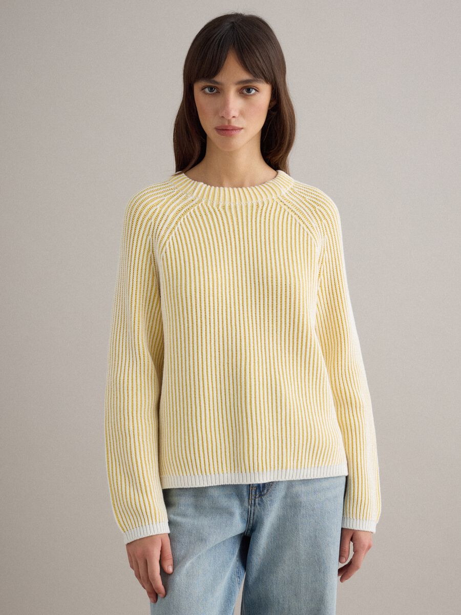 Multicolour striped pure cotton pullover - regular fit_0
