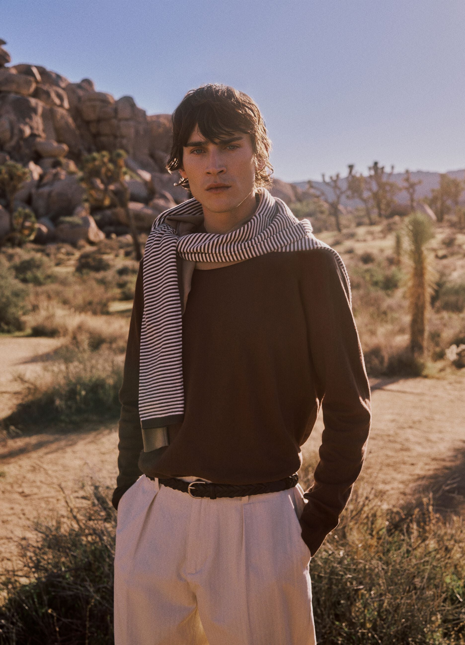 Brown Sweater in Pure Cotton