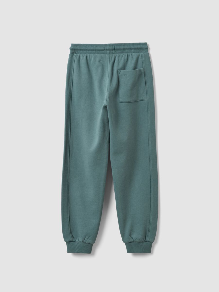 Green organic cotton joggers, comfort fit, for boys_1