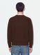Brown pure cotton jumper with deep V-neck, regular fit_3