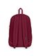 Jansport Cortlandt backpack_1