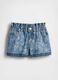 Denim Shorts_1