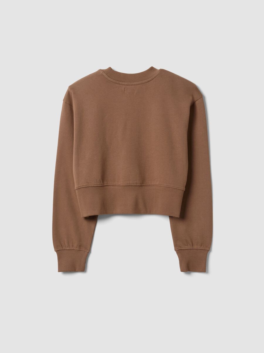 Brown sweatshirt in organic cotton and viscose blend with ribbed neckline_4