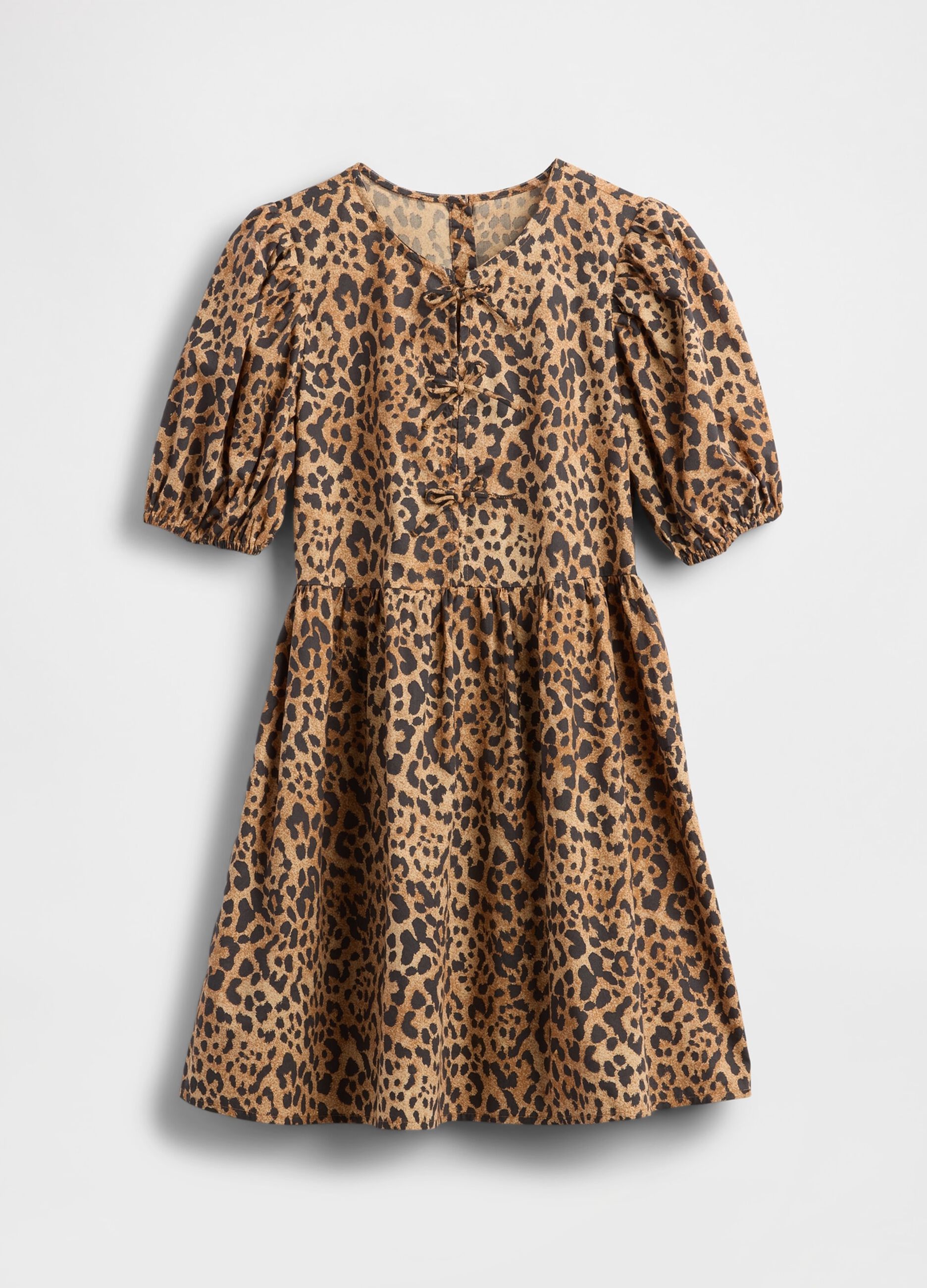 Brown Dress with Leopard Print