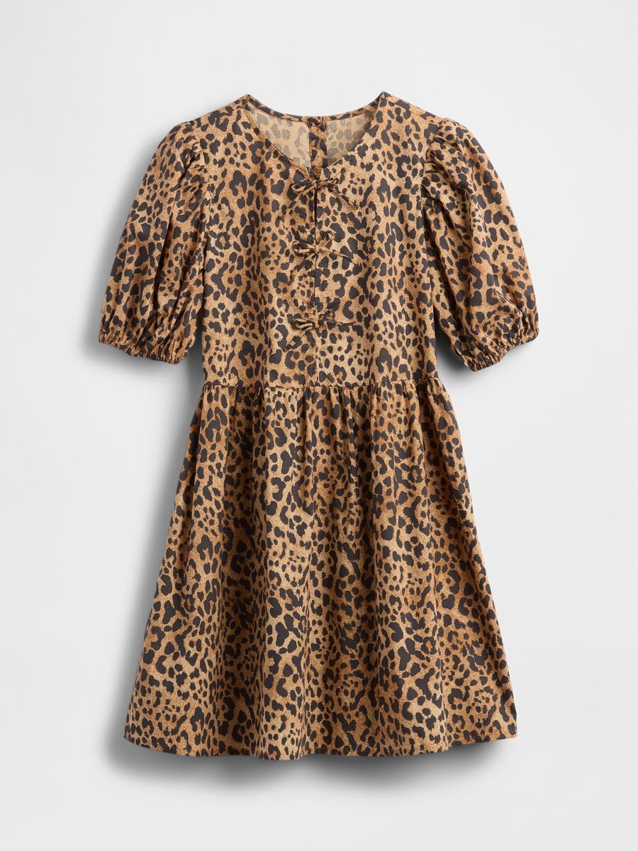 Brown Dress with Leopard Print_2