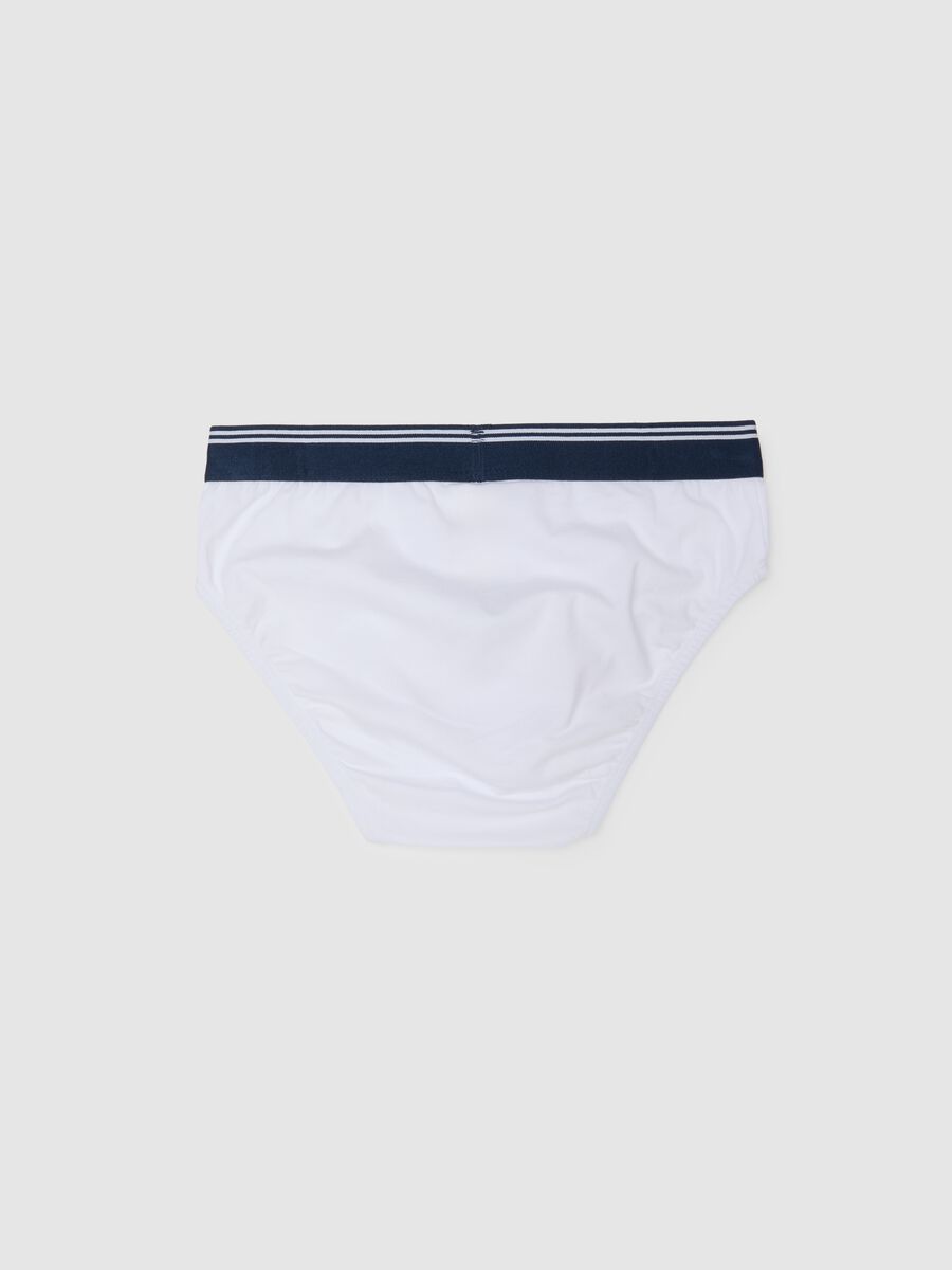 Multicolor Boys' Regular Fit Cotton Stretch Briefs_1