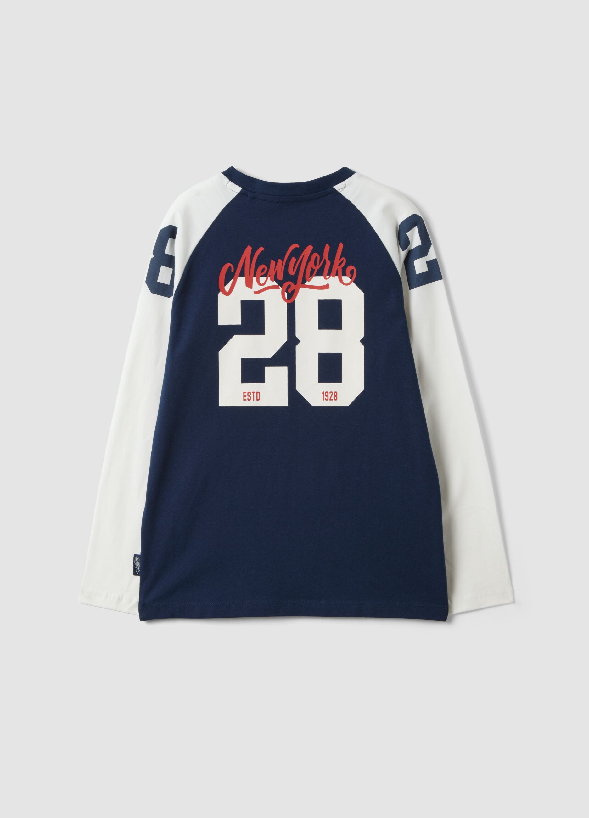 Blue pure cotton crew-neck printed T-shirt for boys