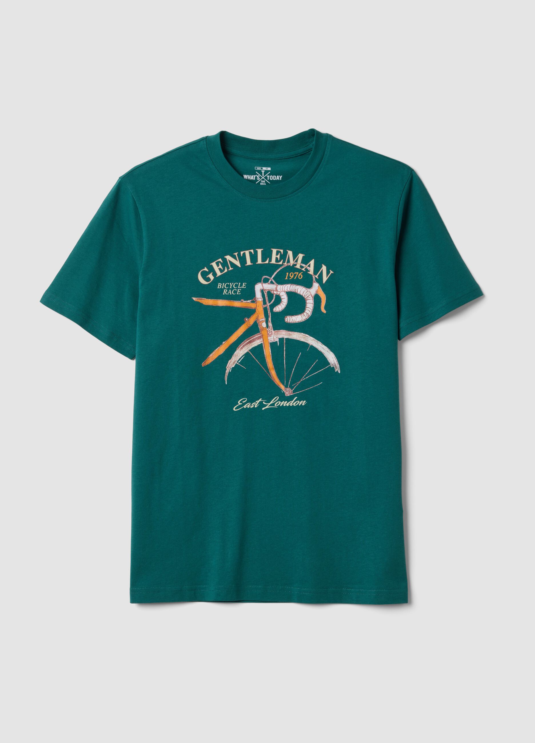 Green short-sleeve pure cotton T-shirt, regular fit