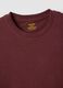Brown pure cotton short sleeve t-shirt regular fit_5