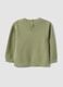 Children's green pure cotton regular fit jumper with tiger_1