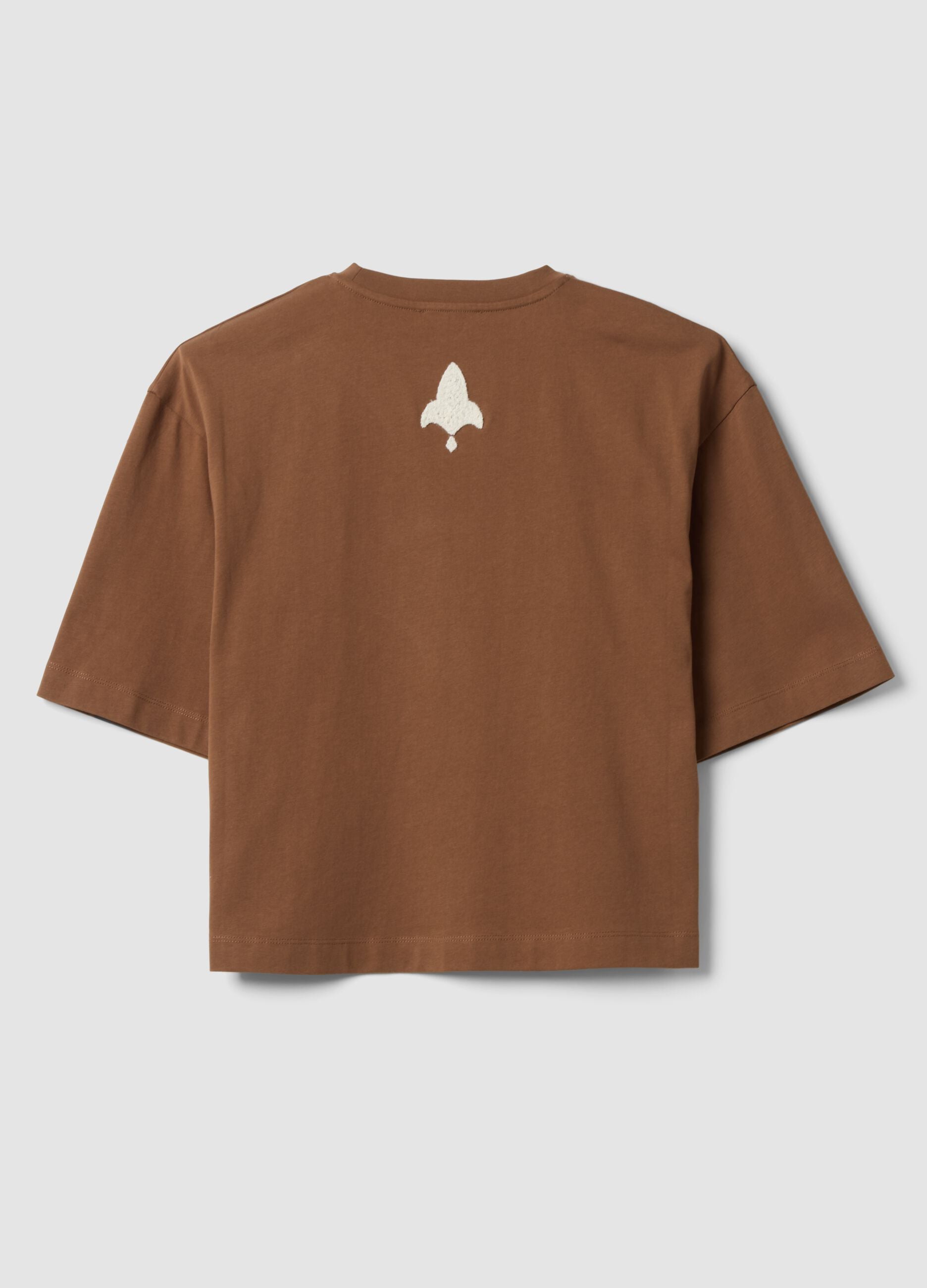 Brown pure cotton T-shirt with embroidery, regular fit