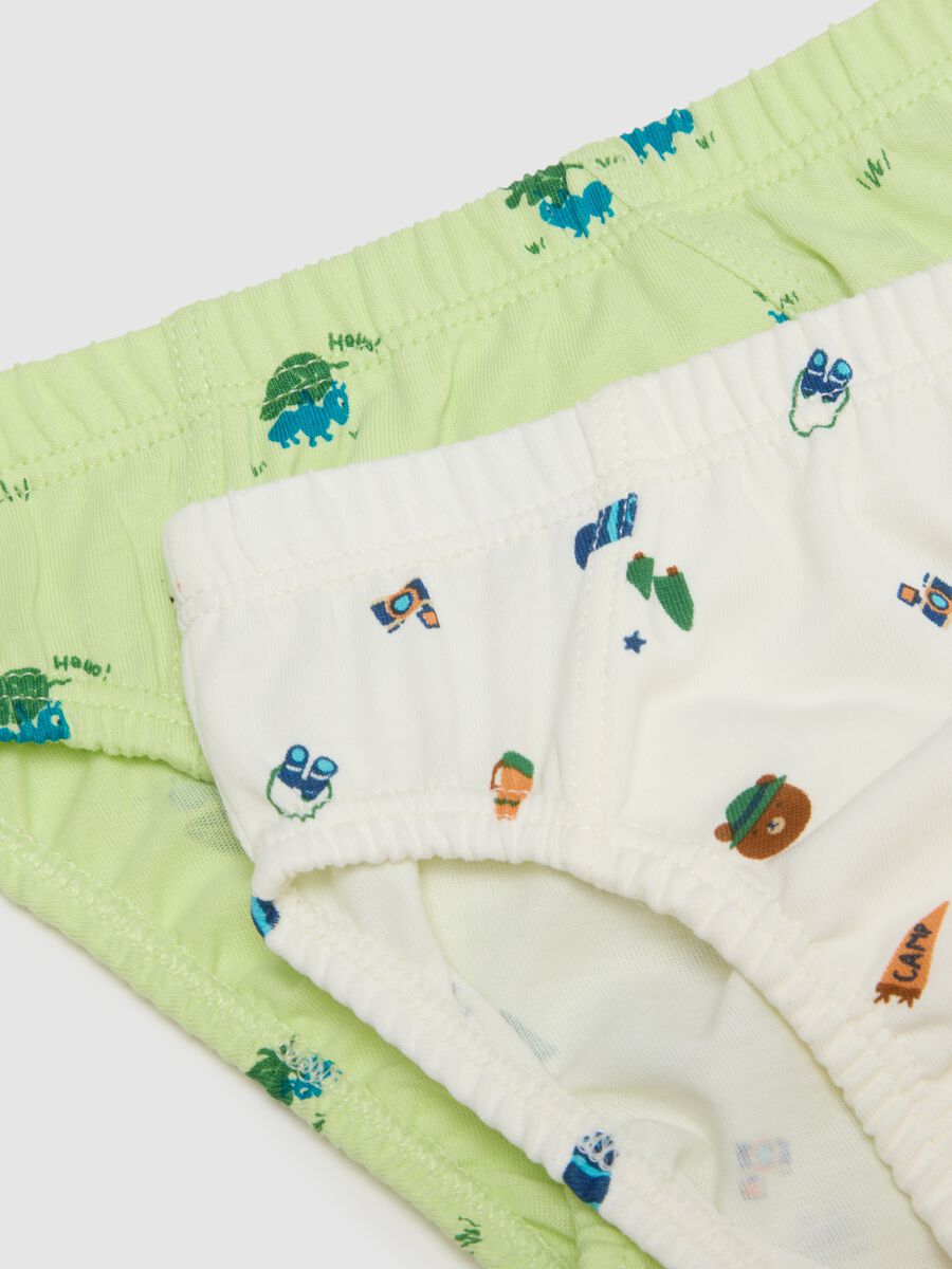 Multipack of pure cotton multicoloured regular fit baby briefs_3