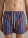 Blue striped swim shorts_1