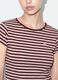 Brown pure cotton crew-neck striped T-shirt_3