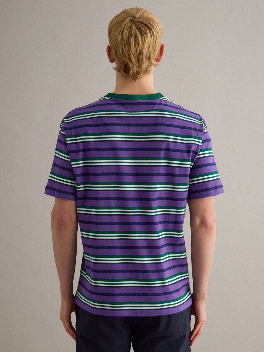 Multicolour striped pure cotton t-shirt regular fit_3