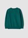 Green pure wool long-sleeve jumper, regular fit_2