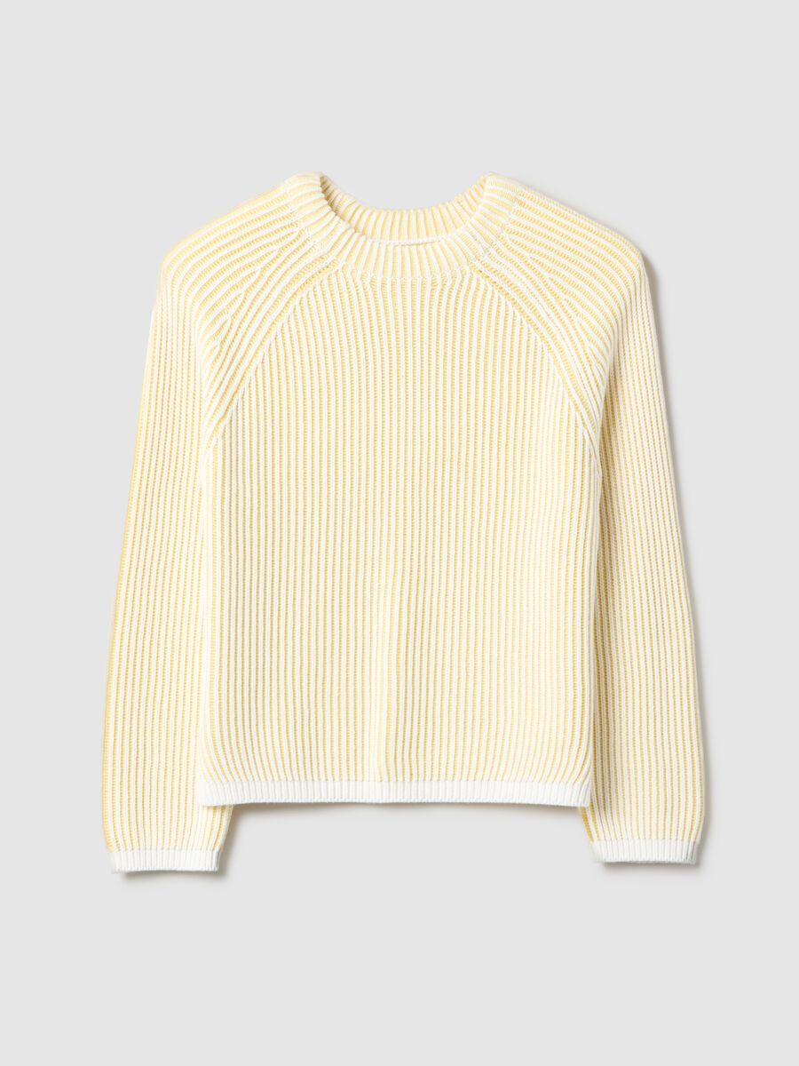 Multicolour striped pure cotton pullover - regular fit_4