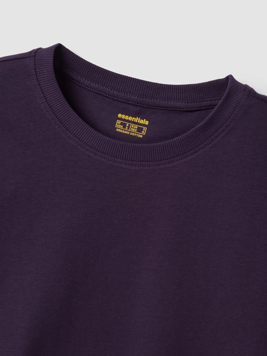 T-shirt viola in puro cotone organico a girocollo regular fit_5
