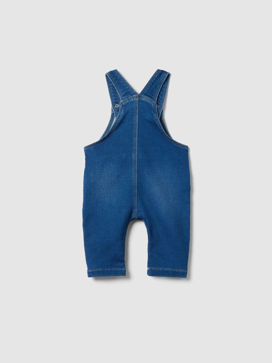 Blue Denim Regular Fit Romper with Embroidery for Babies_1