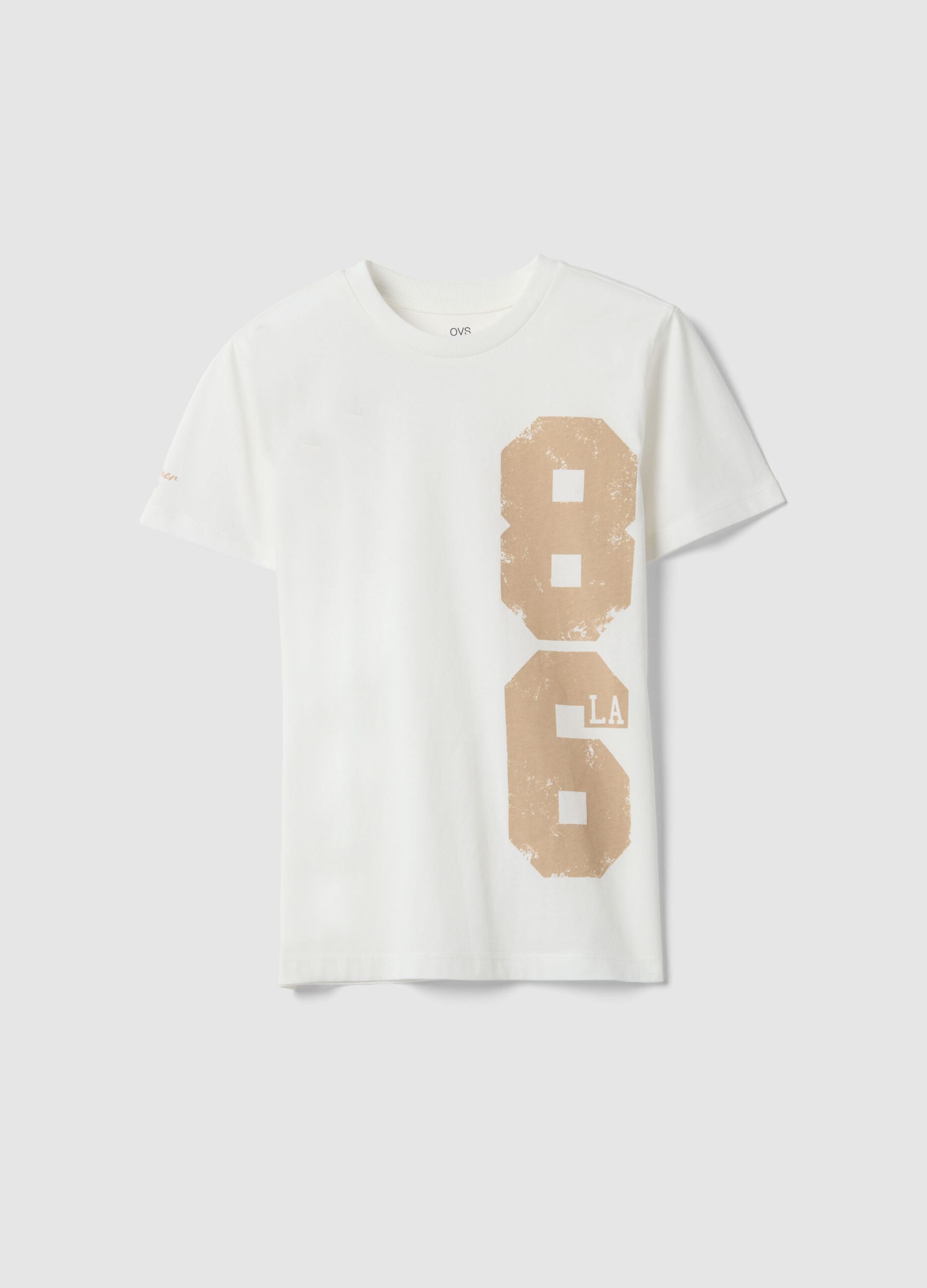 Boys' regular fit white pure cotton T-shirt with print