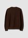 Brown pure cotton jumper with deep V-neck, regular fit_6