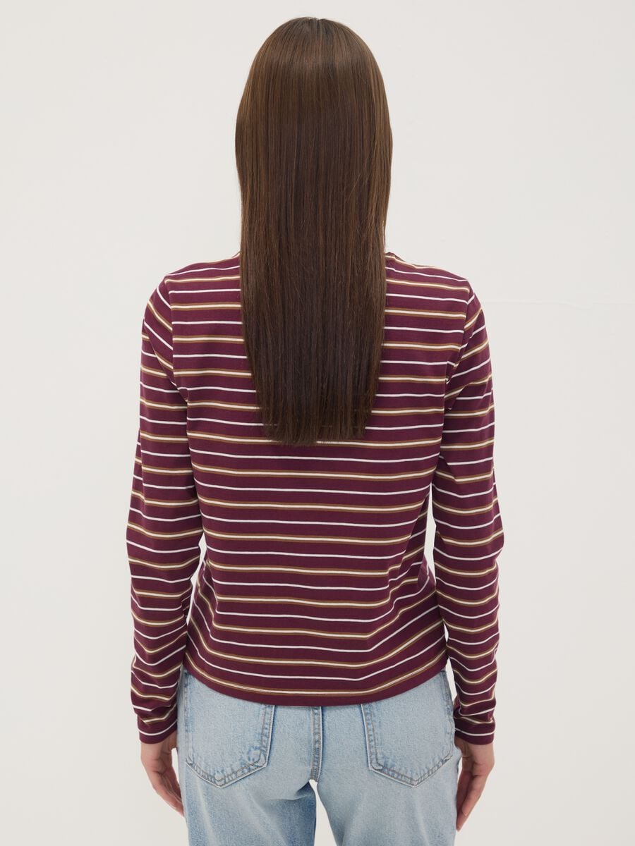 Multicolour pure cotton striped crew-neck T-shirt, regular fit_3