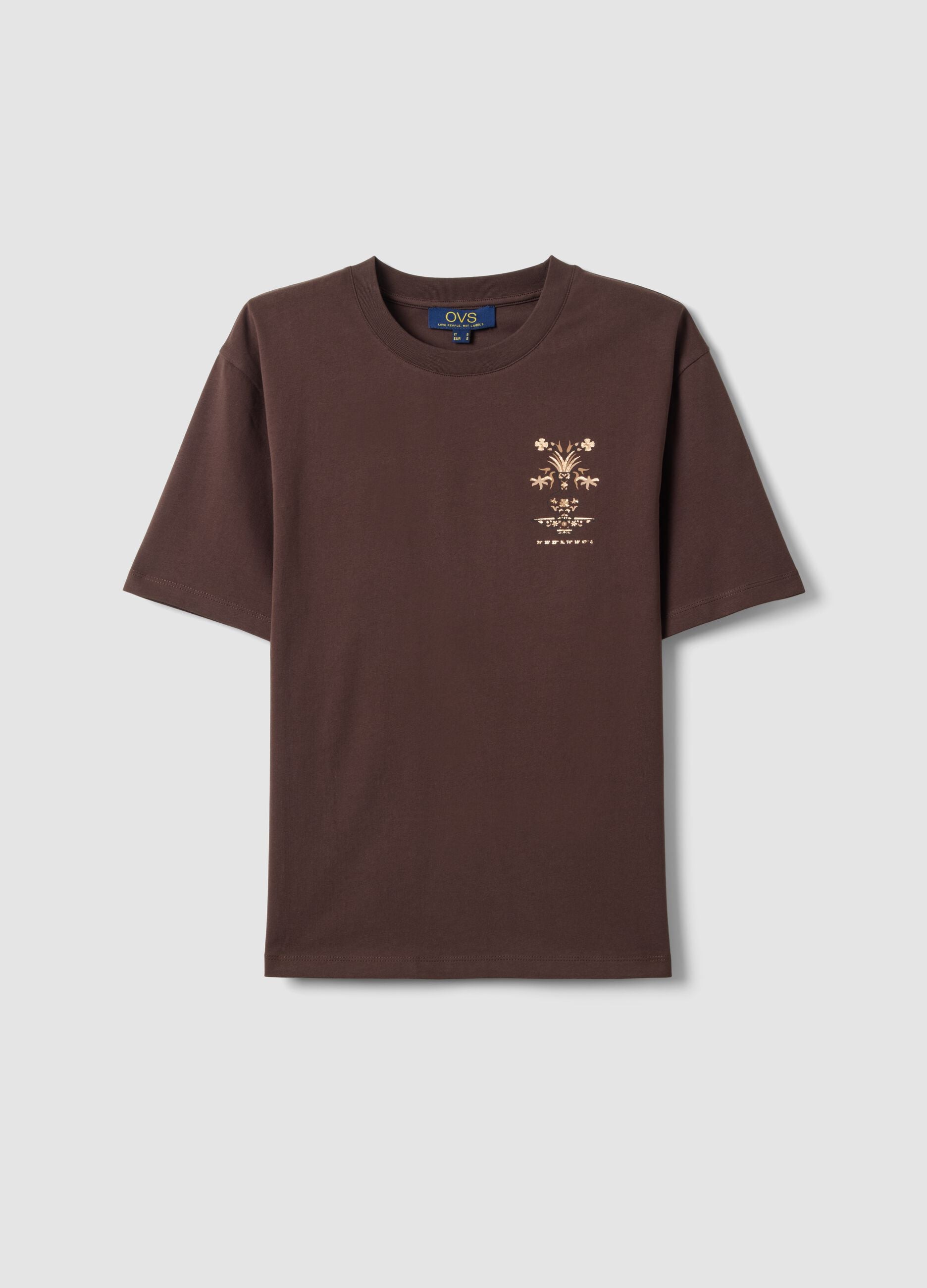 Brown pure cotton short-sleeve regular-fit T-shirt with print