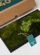 Evergreen Vertical Garden Rectangle_2