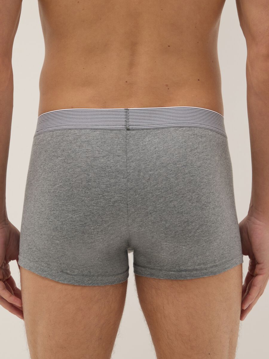 Tripack boxer in cotone organico elasticizzato multicolor regular fit_2