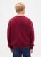 Red crewneck sweatshirt_1