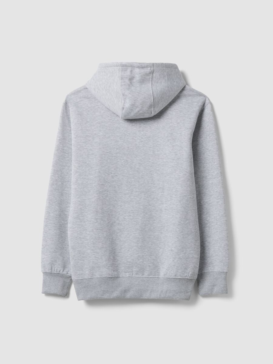 Felpa grigia in misto cotone con cappuccio e stampa Jeep relaxed fit_2