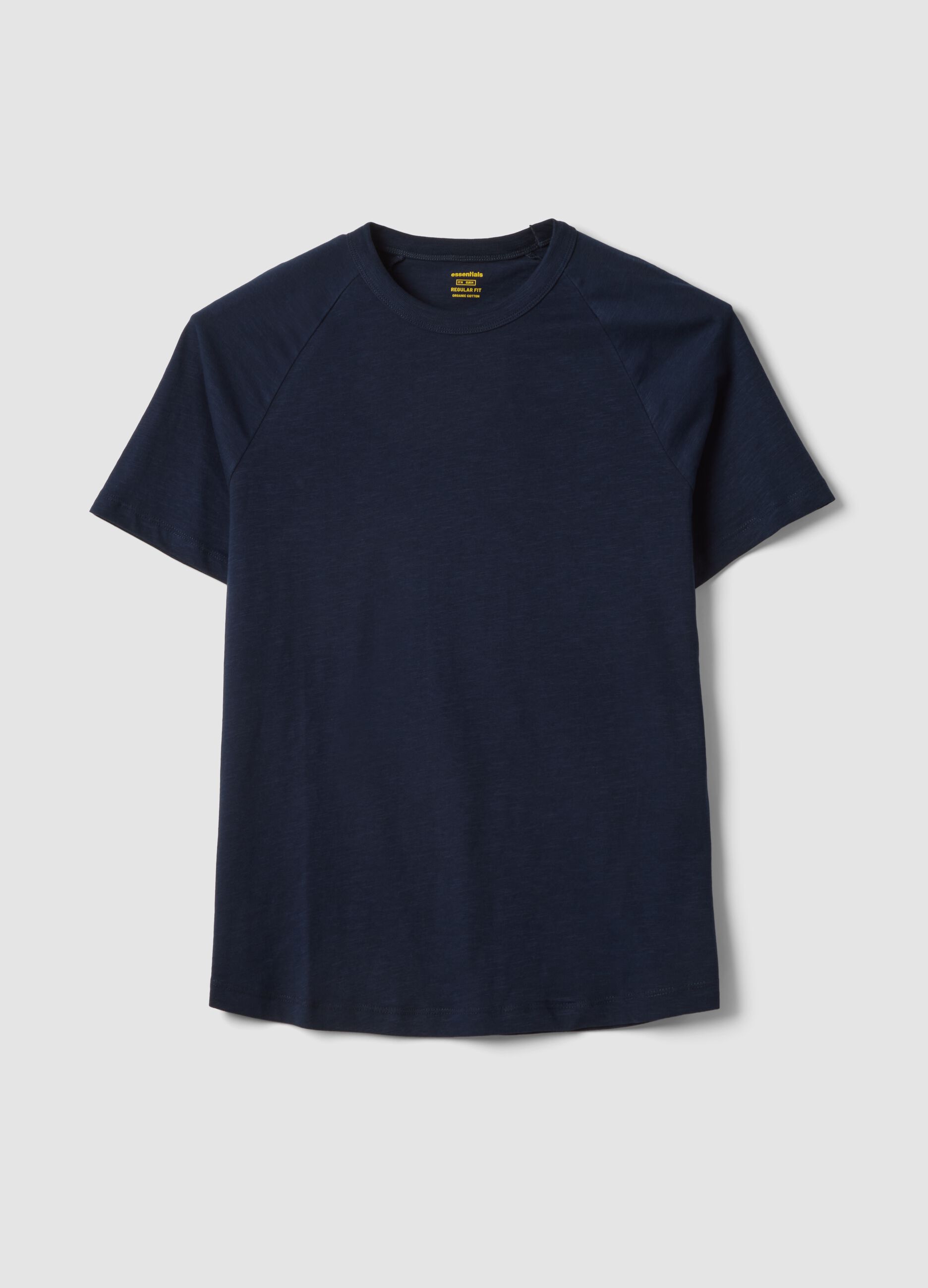 Regular fit blue pure cotton T-shirt