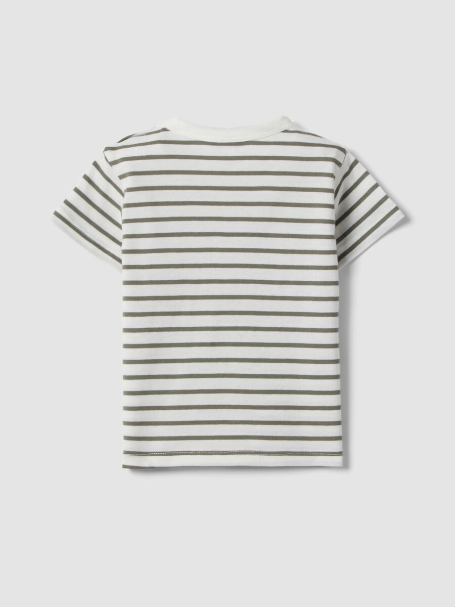 Boys&rsquo; pure cotton multicolour striped T-shirt with dog pocket_1