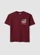 Red pure cotton Miami Heat print T-shirt for boys_3