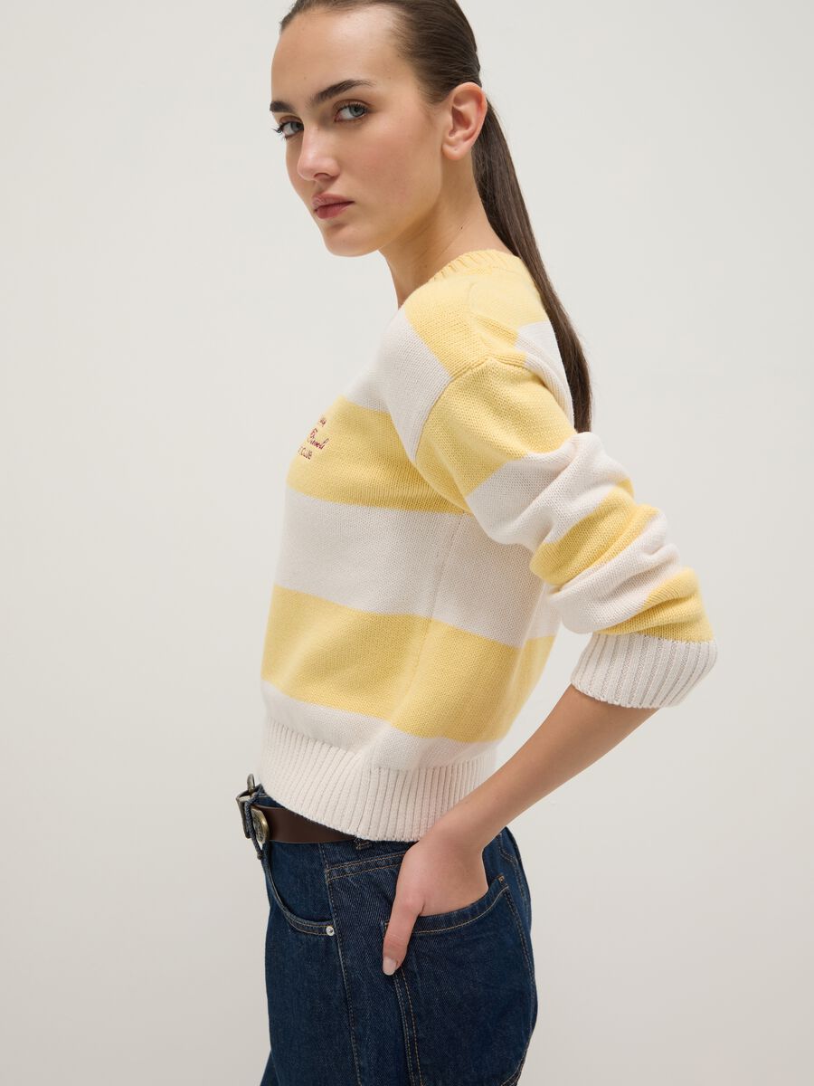 Multicolour striped cotton blend regular fit jumper_3