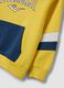 Yellow regular-fit cotton hoodie with logo for boys_2