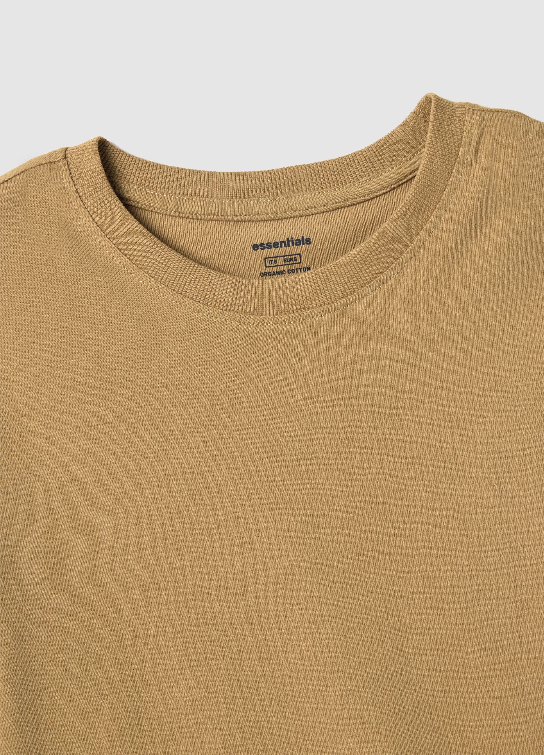 Brown pure cotton regular fit T-shirt