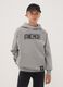 Grey hooded sweatshirt in cotton blend with One Piece print, oversized fit_0