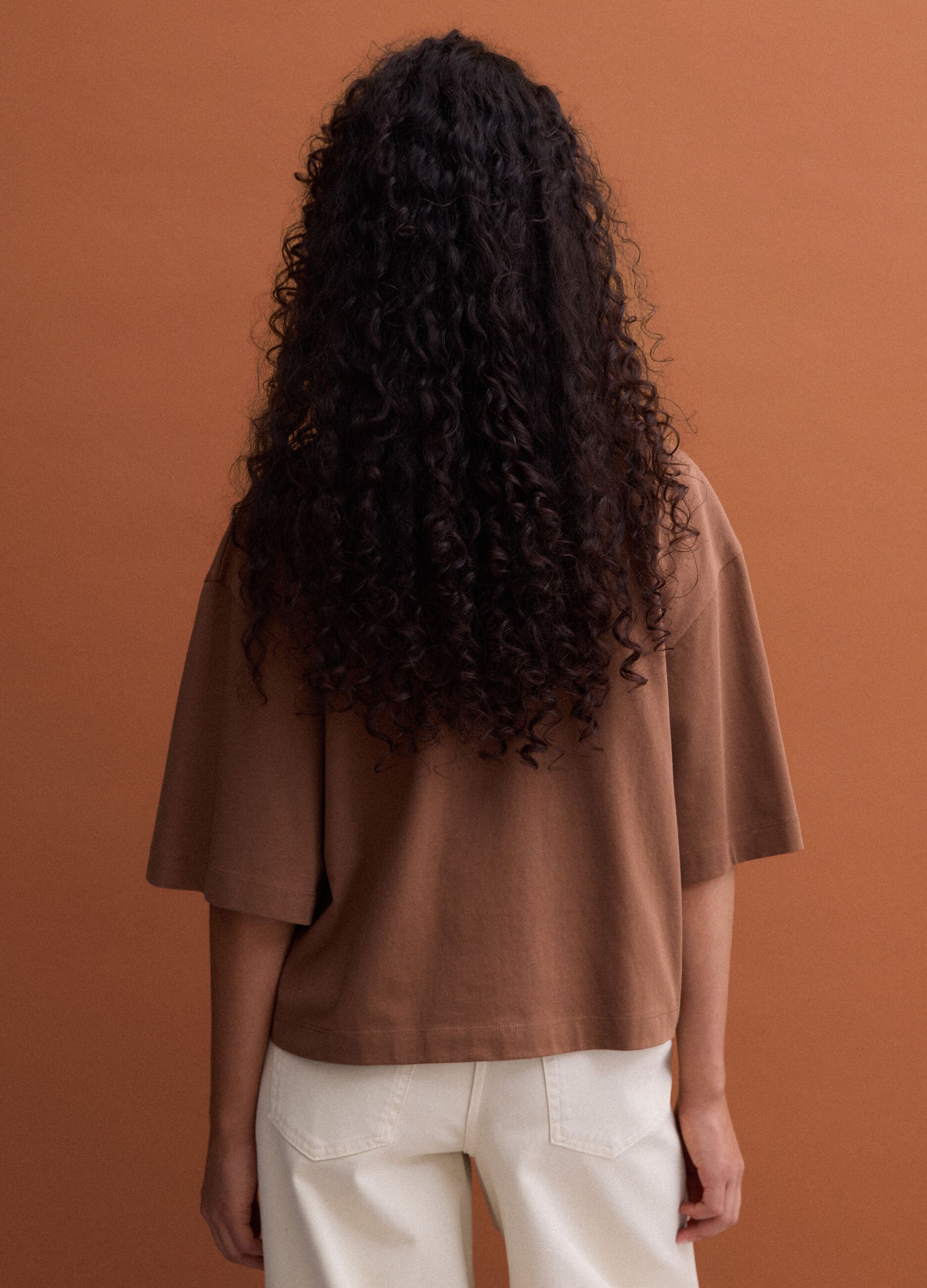 Brown pure cotton T-shirt with embroidery, regular fit