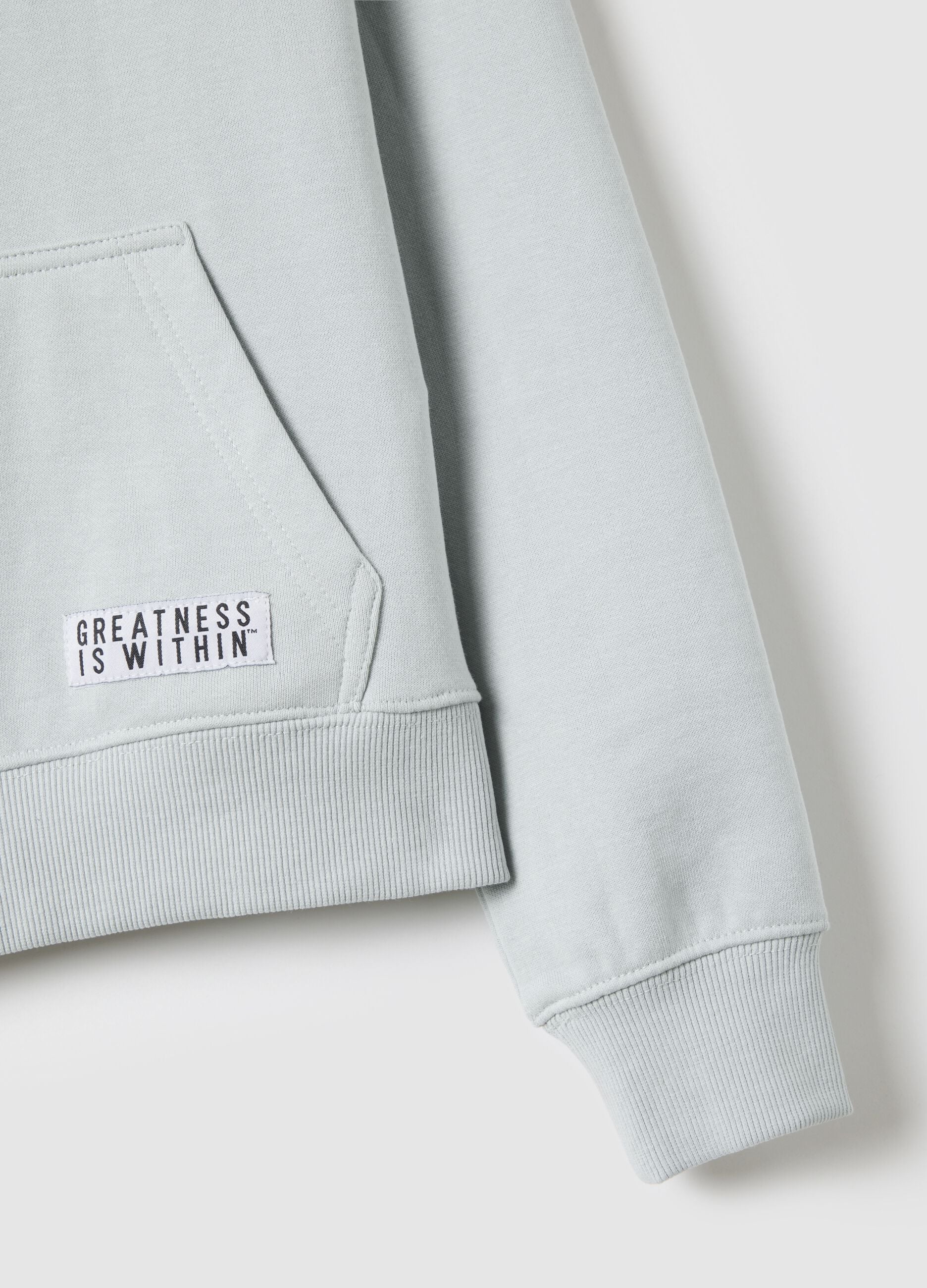 Grey cotton blend hoodie regular fit