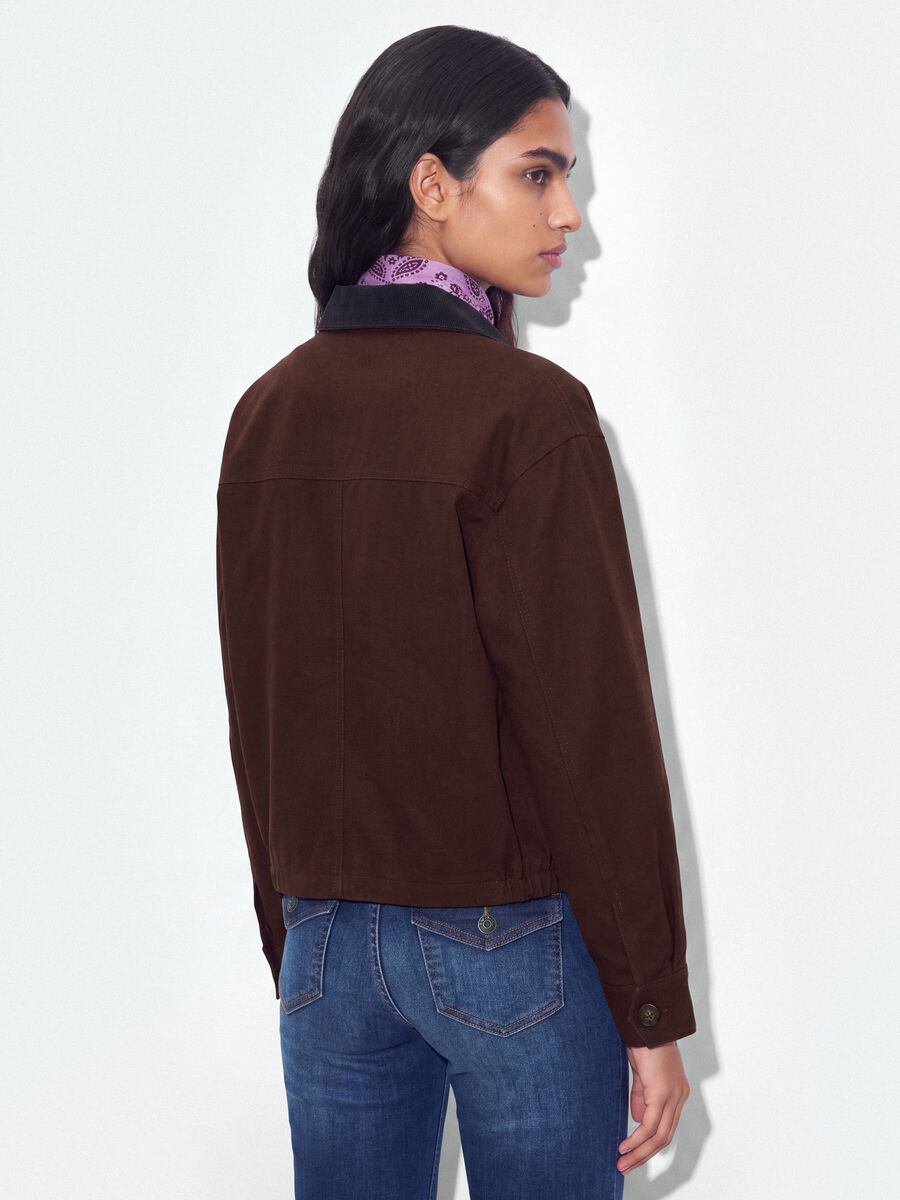 Brown pure cotton bomber jacket with contrast collar, regular fit_3