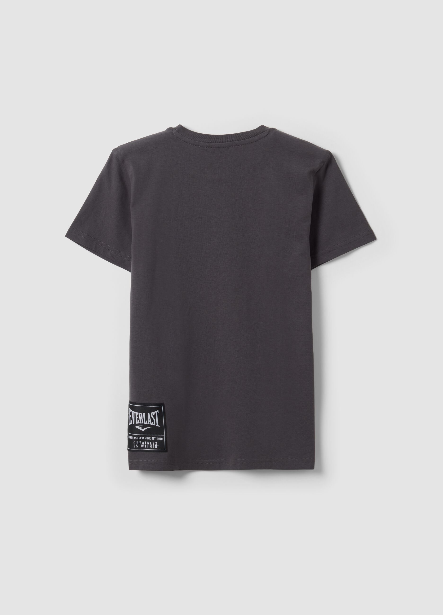 Grey pure cotton T-shirt with front print for boys