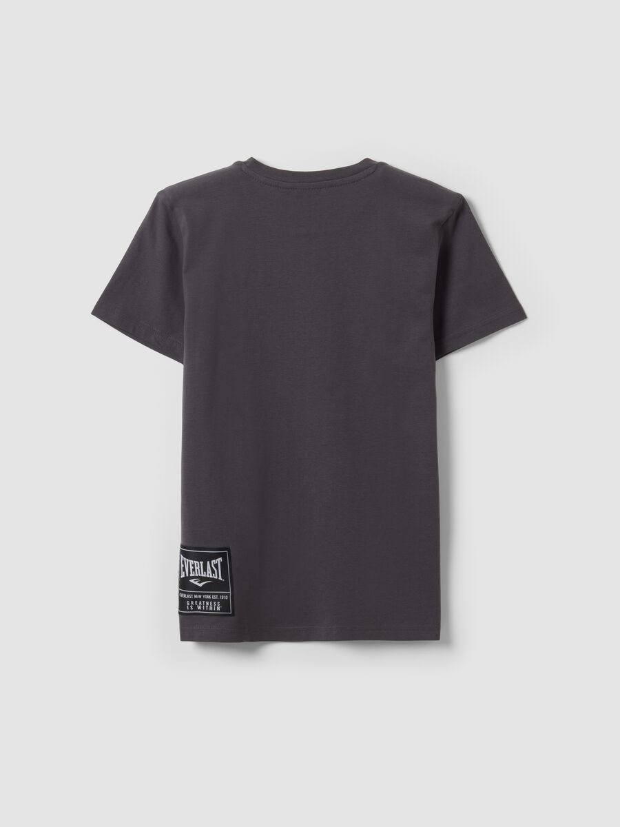 Grey pure cotton T-shirt with front print for boys_2