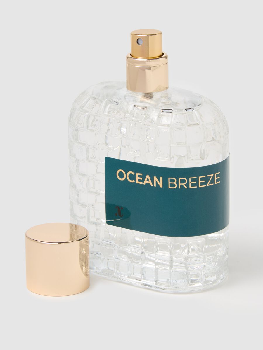 Ocean Breeze - un estratto legnoso e marino_1