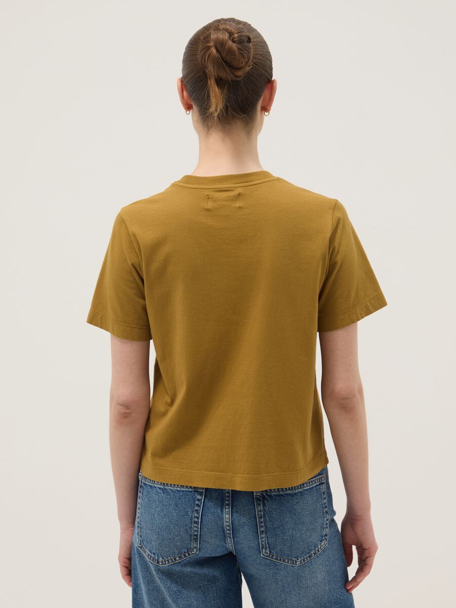 Brown short-sleeve pure cotton T-shirt, regular fit_3