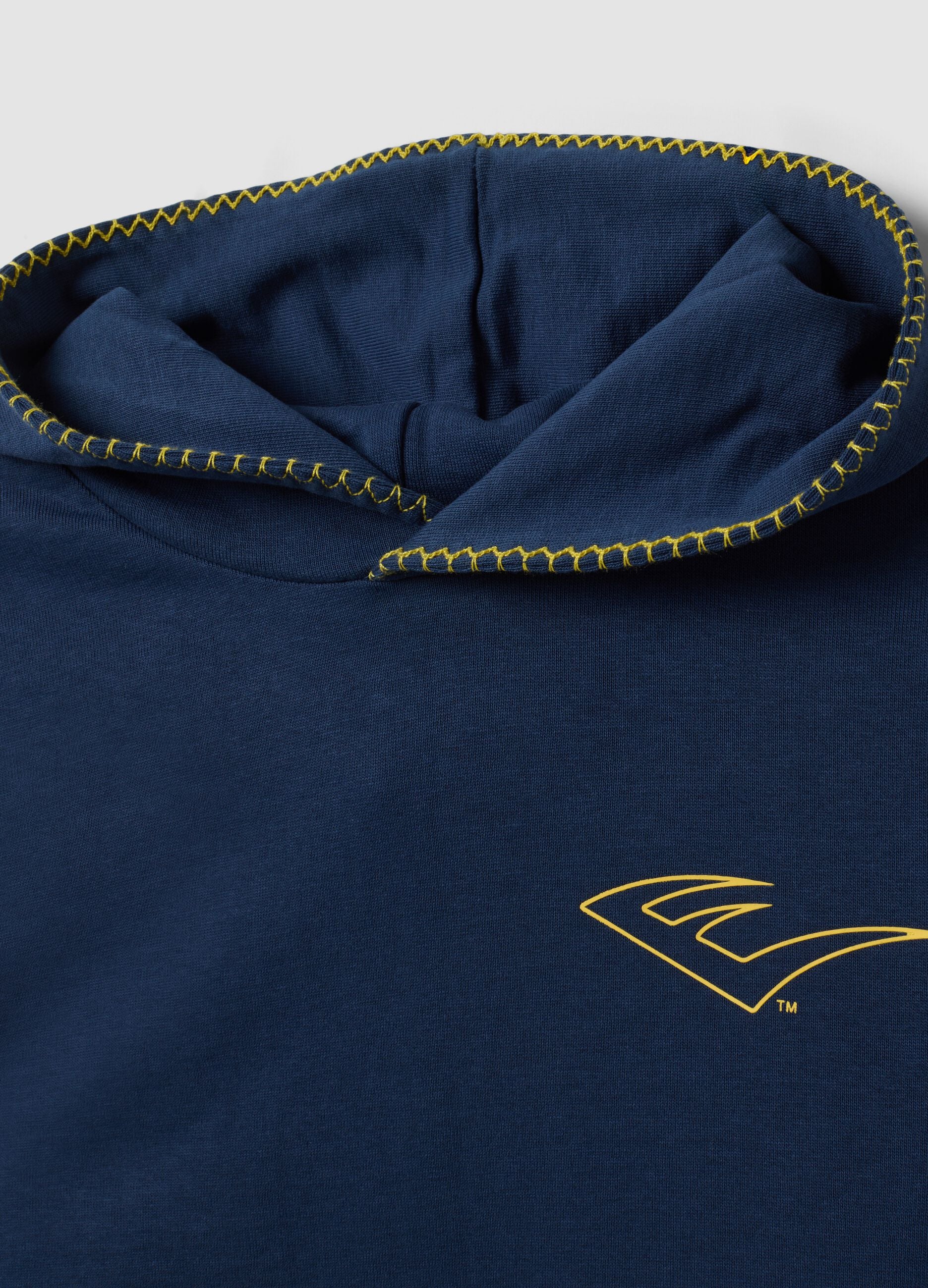 Blue pure cotton hooded sweatshirt, regular fit for boys
