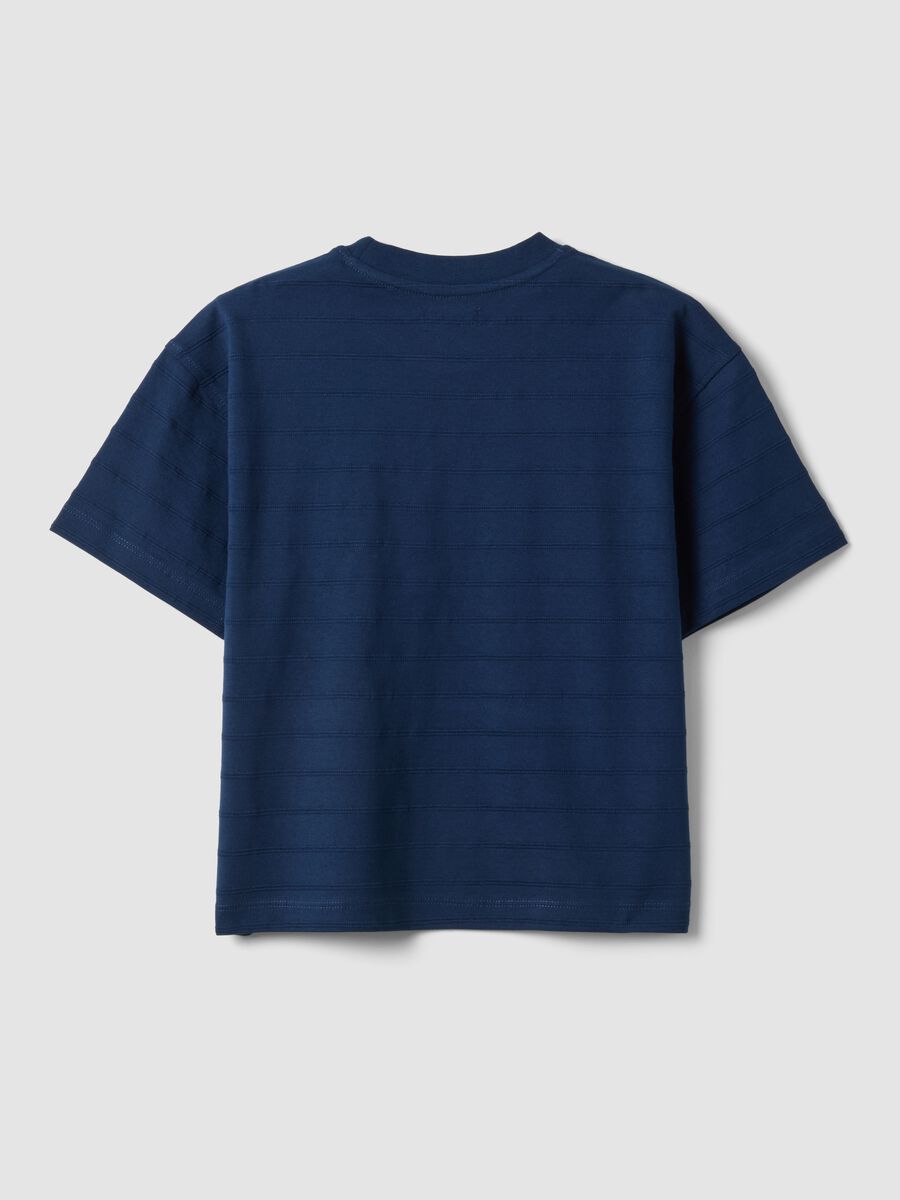 Children's Regular Fit Blue Pure Cotton T-shirt_4